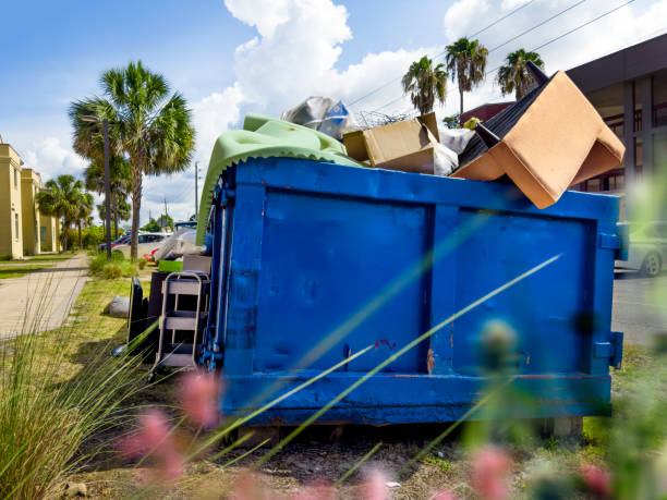 Best Office Junk Removal  in Halls, TN